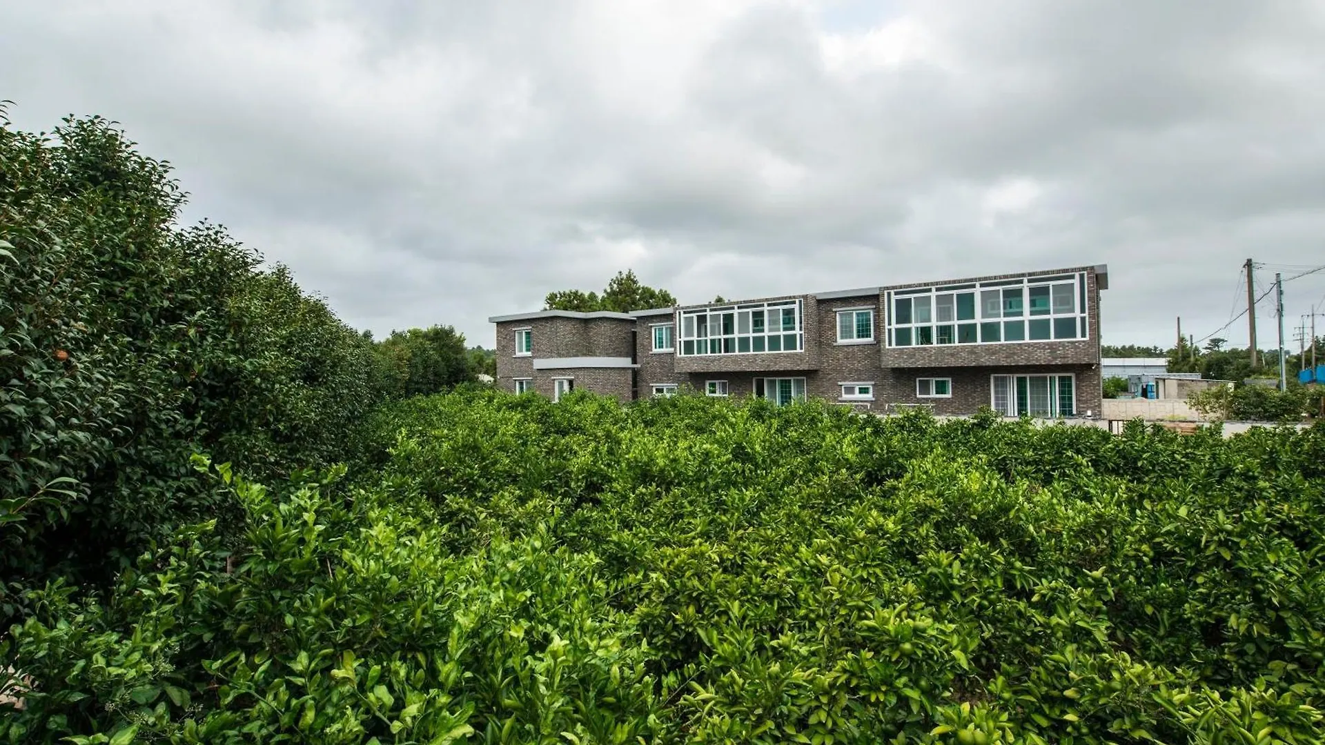 Daeheulrie Pension Csedzsu Villa